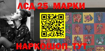 гидропоника Можга